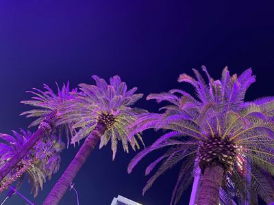 xoticbeauty1 thumbnail