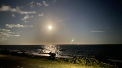 xpatr1c1ax thumbnail