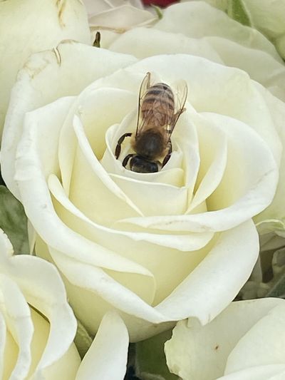 bbymama007 thumbnail