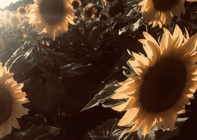 u174614198 thumbnail