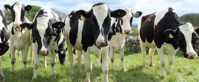 melgotthemilk thumbnail