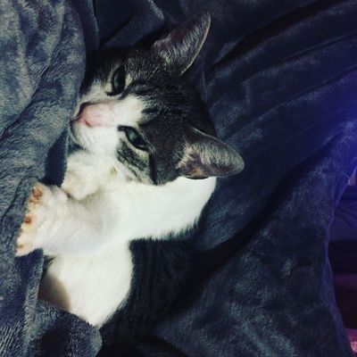 nikkishen12 thumbnail