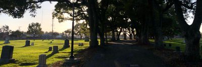 quigonjenn thumbnail