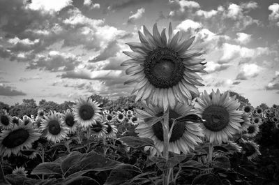 u163624393 thumbnail