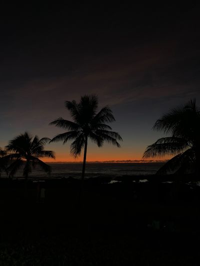 prettylittlesizefour thumbnail