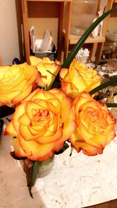 veesugareex3 thumbnail