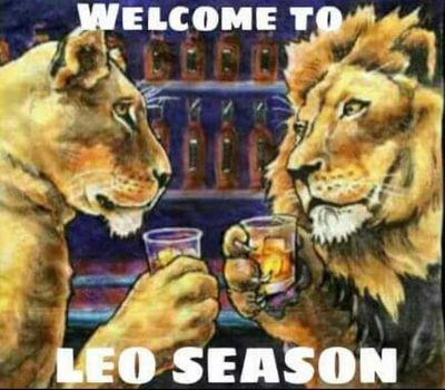 Professor Curve profile