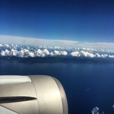 Dustindidit thumbnail