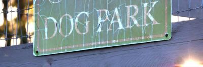 Perro Macanúo thumbnail