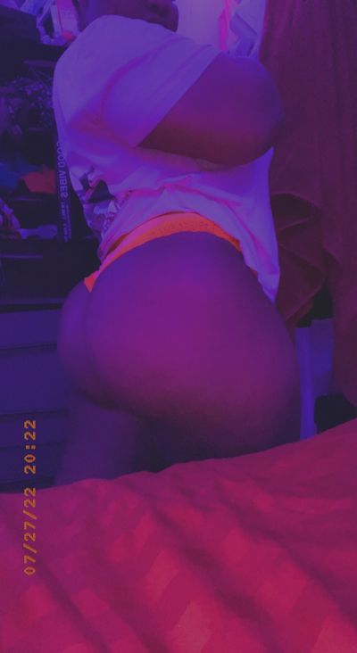 bitter_sweet_teddy profile