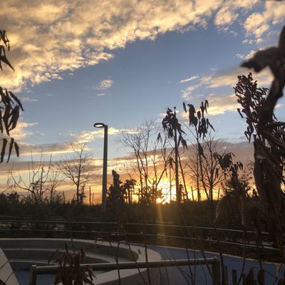 anderalejandro thumbnail