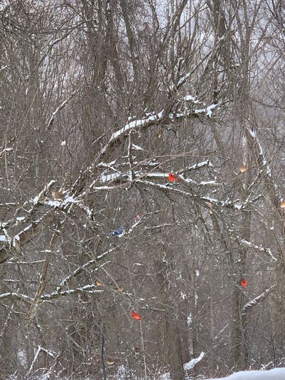 Mmmm_janny thumbnail