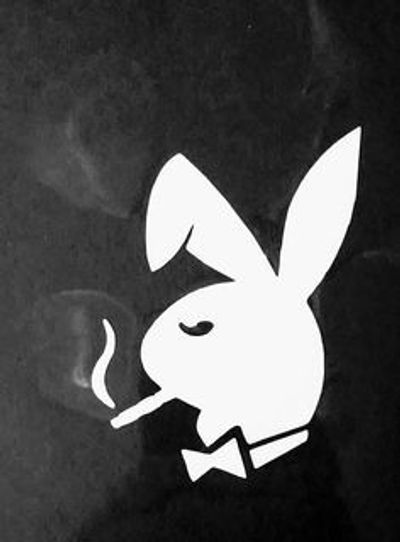 dynamicafterdark profile