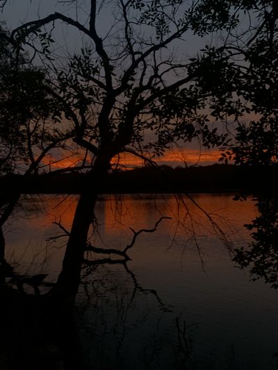 callieann2020 thumbnail