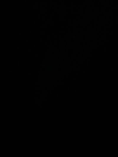 joselinadeborrow thumbnail