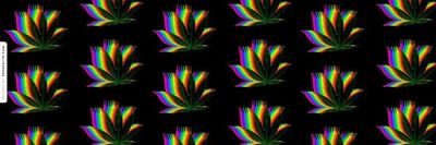 domdaddynyc thumbnail