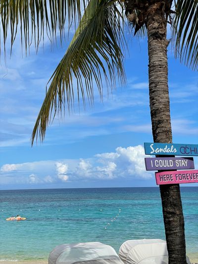 u218453795 thumbnail