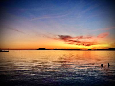 greatwhitebuffaloo thumbnail