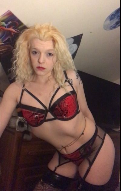 Traylor Swift profile