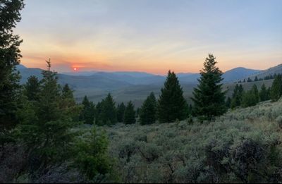 kissed.by.fire thumbnail