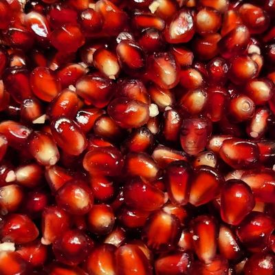 polyamorae thumbnail