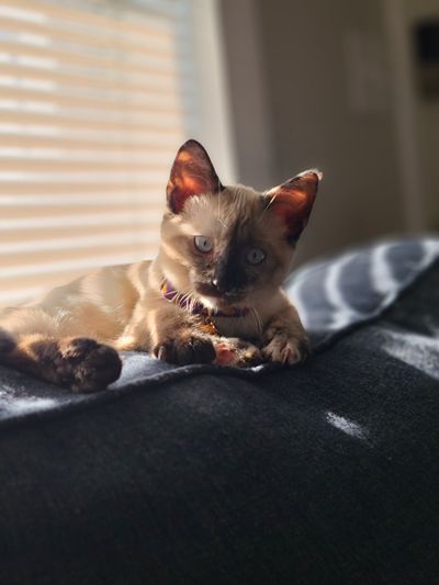 Sec3Op41514 thumbnail