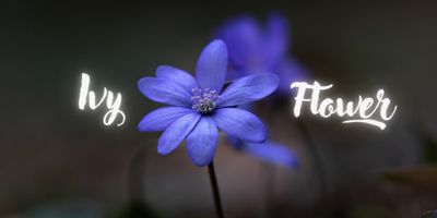 u222885537 thumbnail