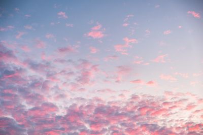 primadonnagirrrrl thumbnail