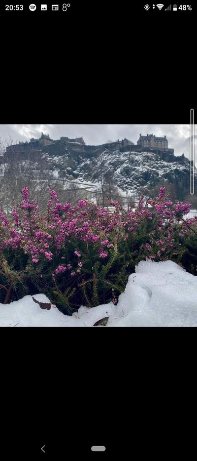 u122814222 thumbnail