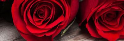 JASMIN🌹ROSE thumbnail