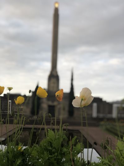 ryanvalliantxxx thumbnail