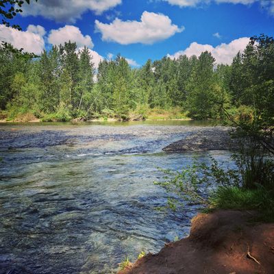 nightsxspirit thumbnail