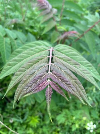 camehereforafuntime thumbnail