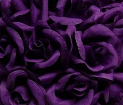 ravenzmoon thumbnail