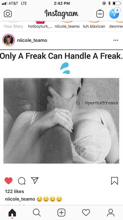 pink_roses thumbnail