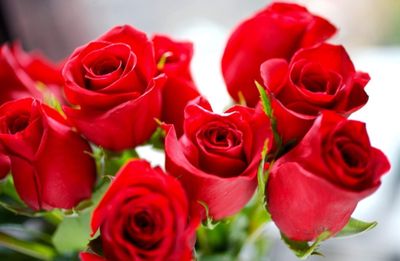 gayhotbebe thumbnail