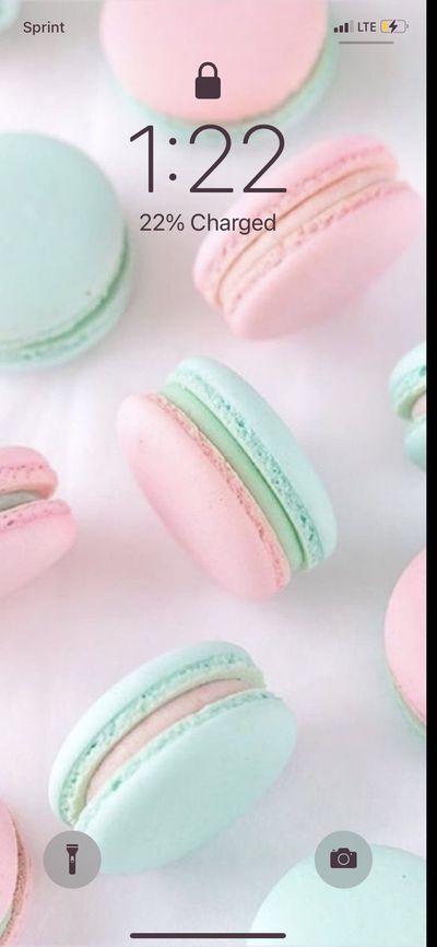 bunnycocoapaid thumbnail