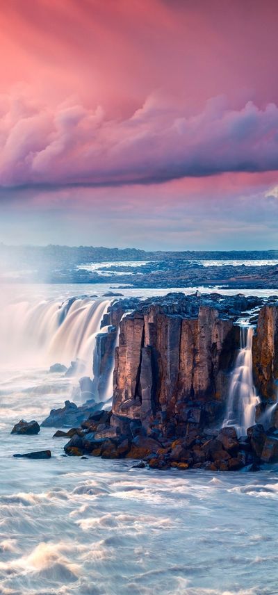 Rosario Retamales thumbnail