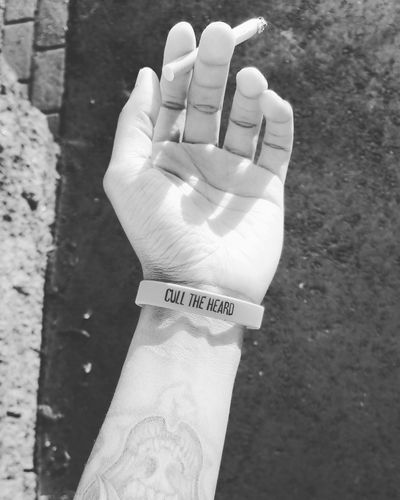 Chocolatechibs thumbnail