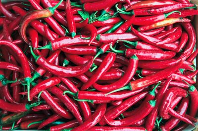 foxyroxy007 thumbnail