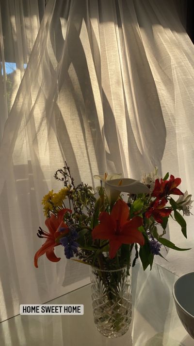 sarahchristinebrown thumbnail