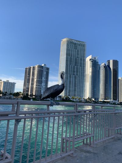 jaynasty22 thumbnail