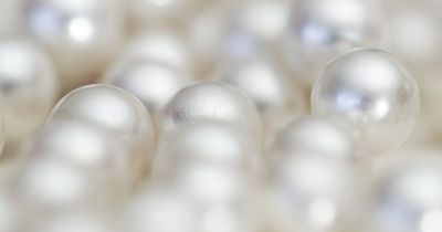 u174364424 thumbnail