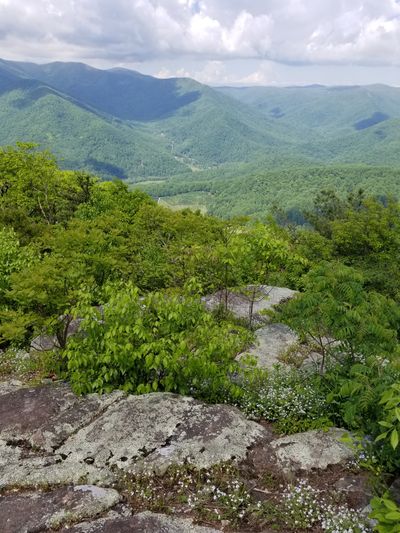 kittykatdoll28 thumbnail