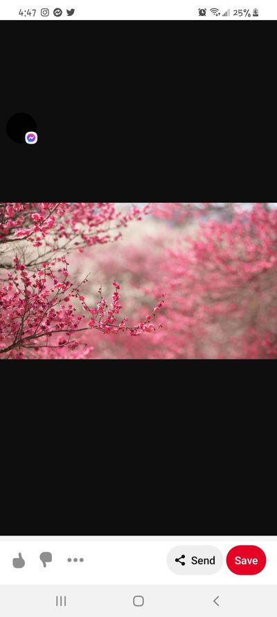 naughtynudel thumbnail