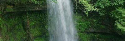 Frank White thumbnail