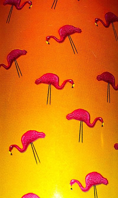 pantyfetishfemboy thumbnail