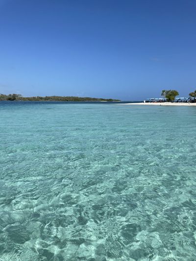 alexandramendezof2 thumbnail