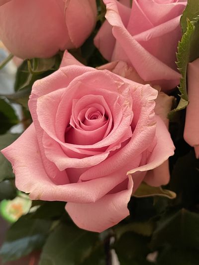 alyssabunni thumbnail