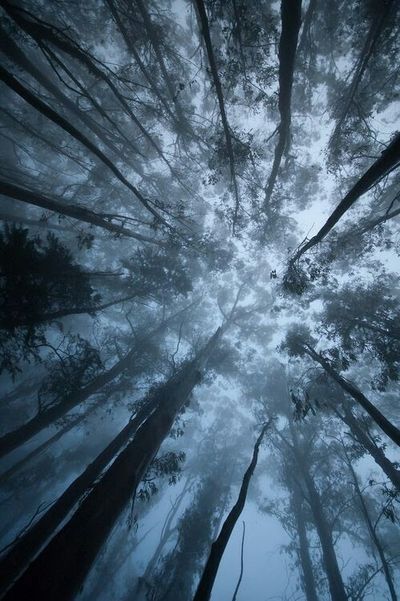 u110522947 thumbnail